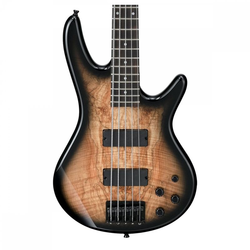 Ibanez GSR205SM-NGT Natural Grey Burst