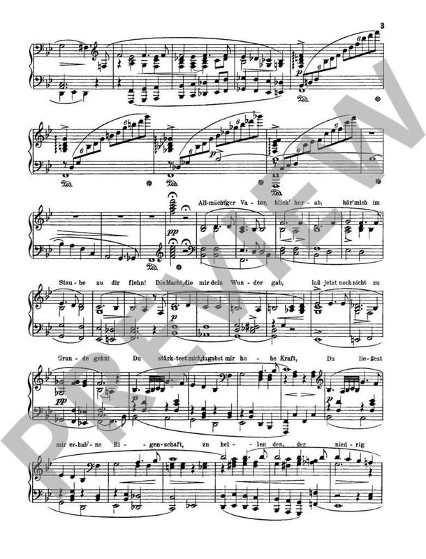 Richard Wagner - Unser Wagner 1