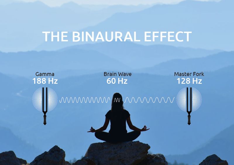 Meinl TTF-GAMMA Binaural Therapy Tuning Fork, Gamma