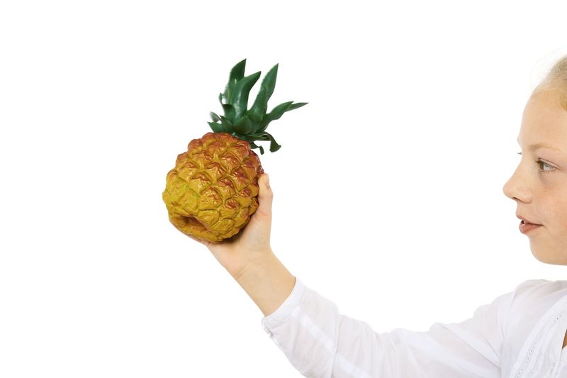 Nino NINO595 Pinapple shaker