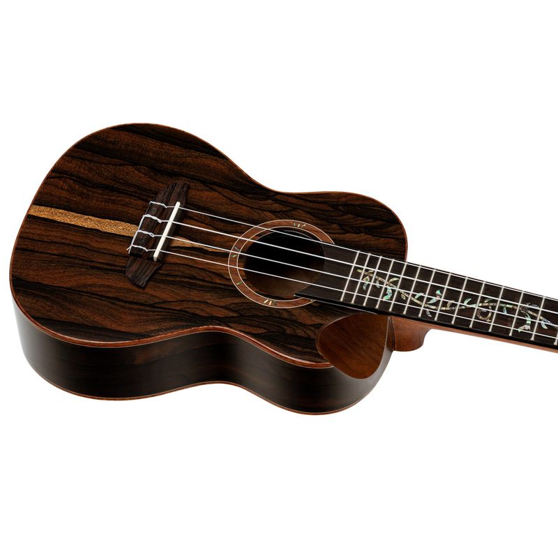 Ortega RUET-ZC Concert ukulele m.mik, o gigbag, Elite, Ziricote