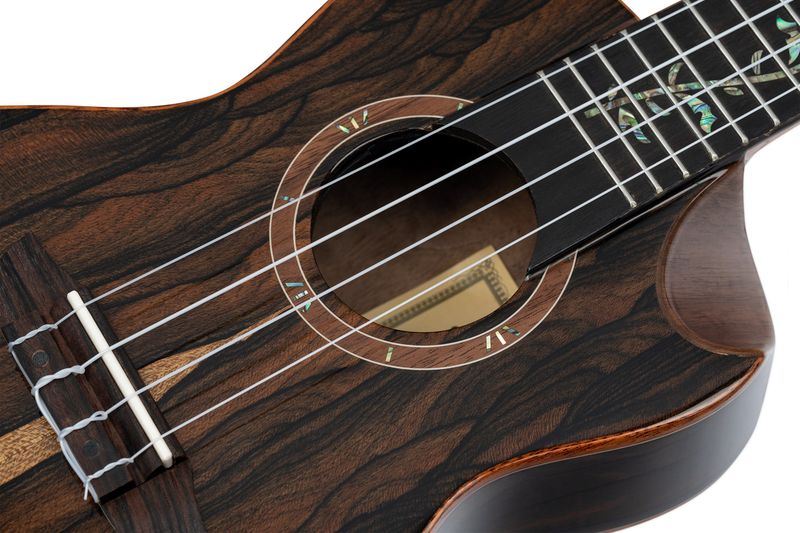 Ortega RUET-ZC Concert ukulele m.mik, o gigbag, Elite, Ziricote