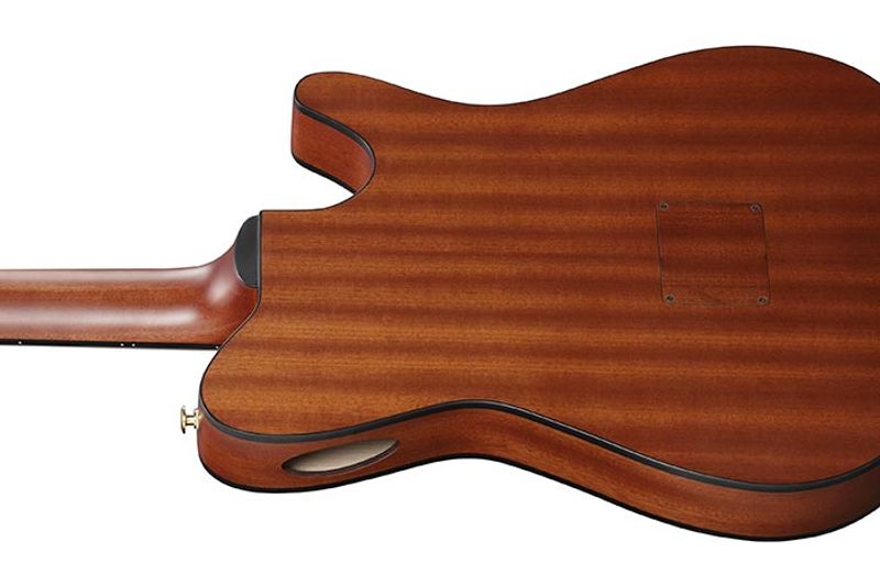 Ibanez FRH10NL-BSF Nylonsträngad m.mik, Thin body, Left