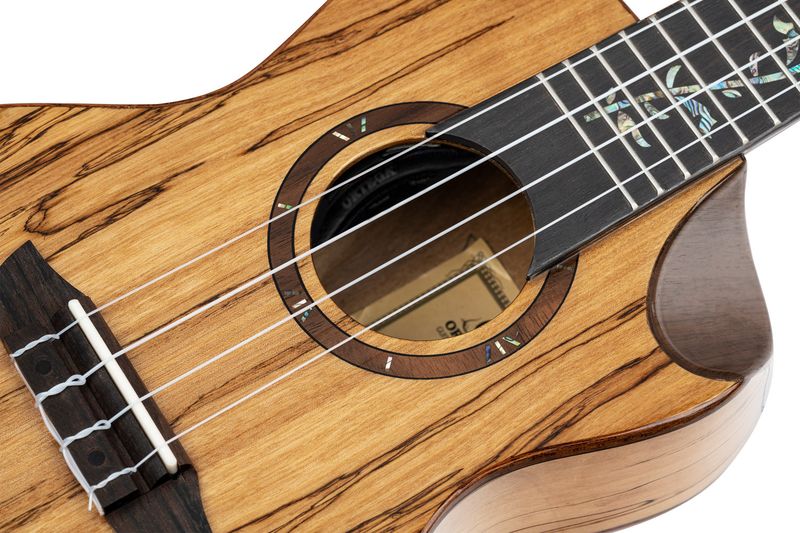 Ortega RUET-SMA Concert ukulele m.mik, o gigbag, Elite, Spalted Maple