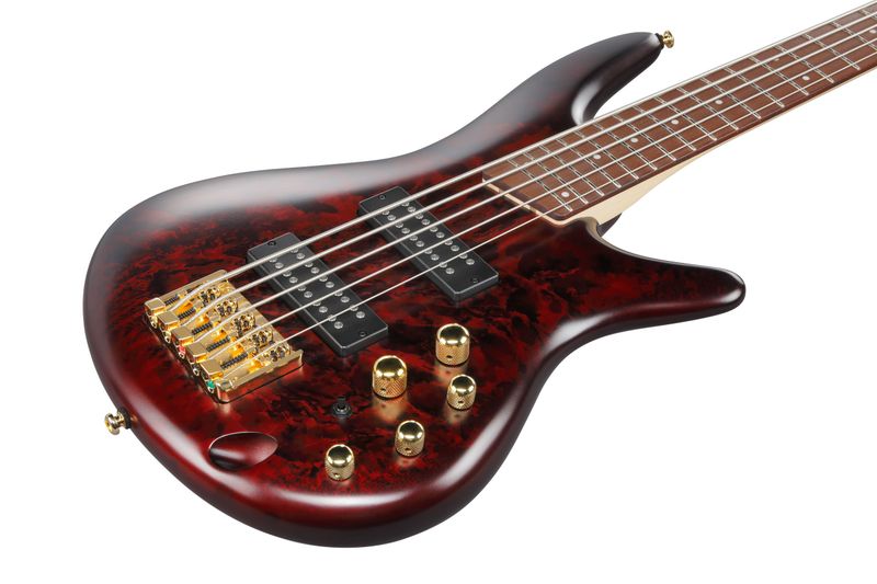 Ibanez SR305EDX-WZM Elbas, 5-str.