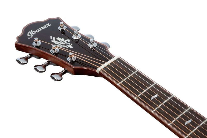 Ibanez MRC10-NT Westerngitar m.mik & bag, Marcin Patrzalek  Signature