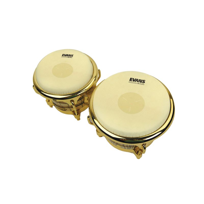 Evans EB07 Bongo Skinn