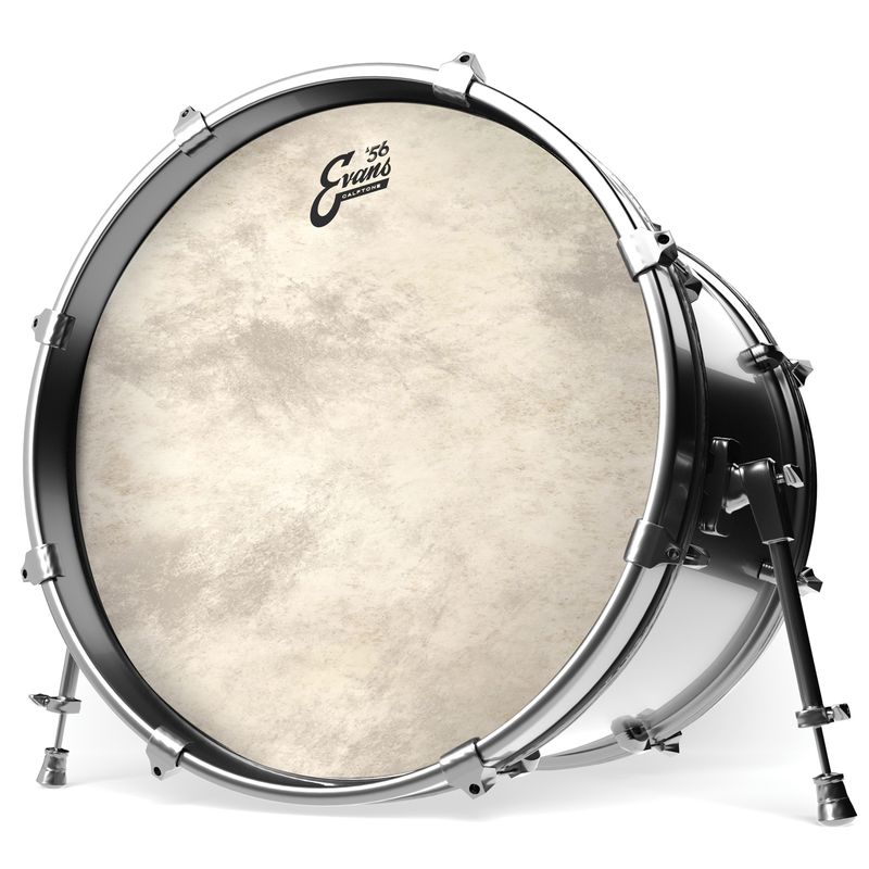 Evans BD22CT 22'' Bastrumskinn Calftone