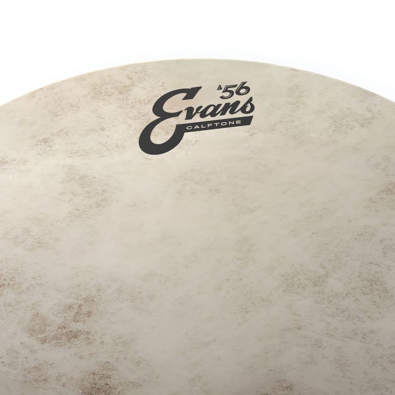 Evans TT14C7 14'' Pukskinn Calftone