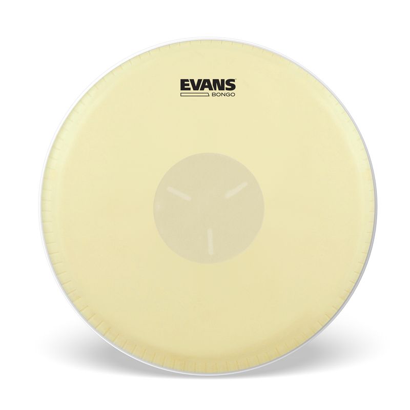 Evans EB09 Bongo Skinn
