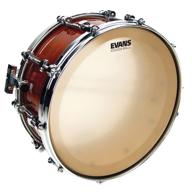 Evans CT14SS Strata Concert Staccato 14''