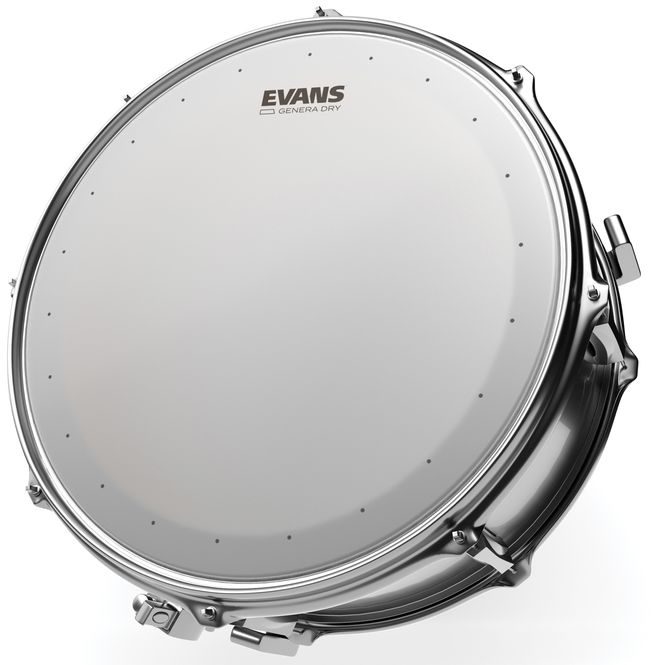 Hovedbilde Evans B12DRY 12'' Virvelskinn Genera Dry