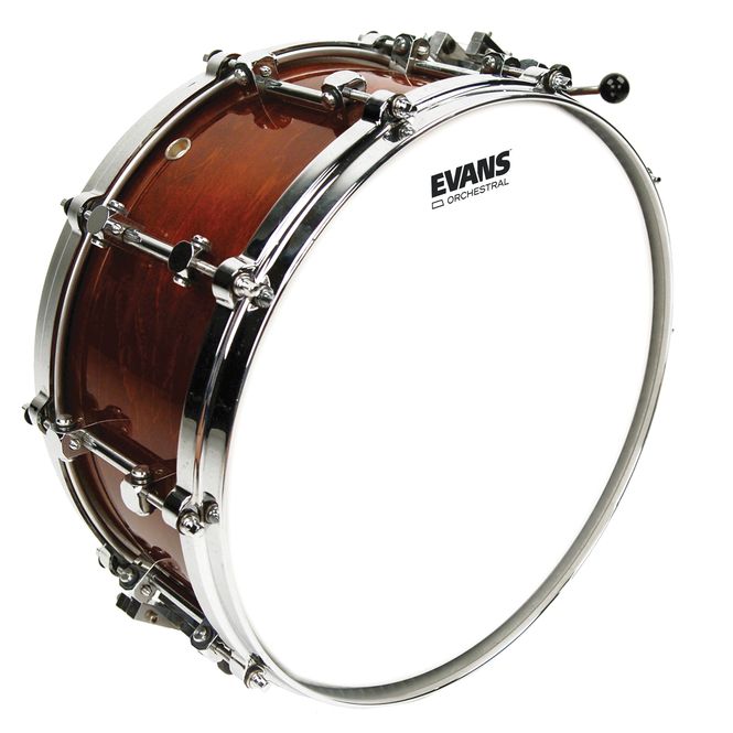 Hovedbilde Evans B14GCS 14'' Pukskinn Genera Orchestral