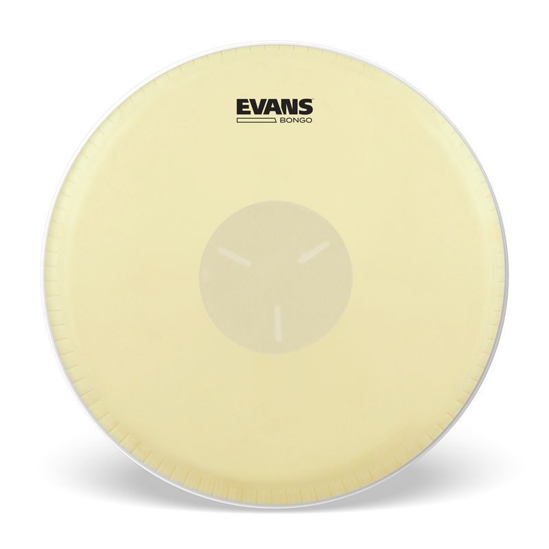 Evans EB07 Bongo Skinn