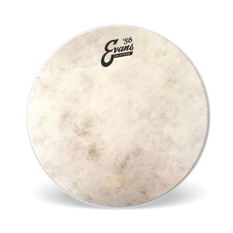 Evans TT18C7 18'' Pukskinn Calftone