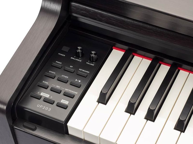 Medeli UP203 Andromeda Series Digital Piano - Black