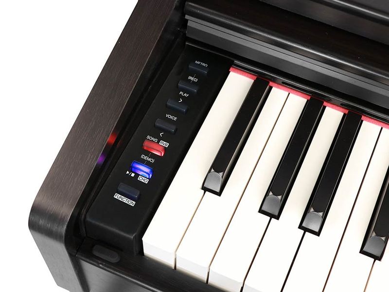 Medeli DP280K Digital Piano - Rosewood