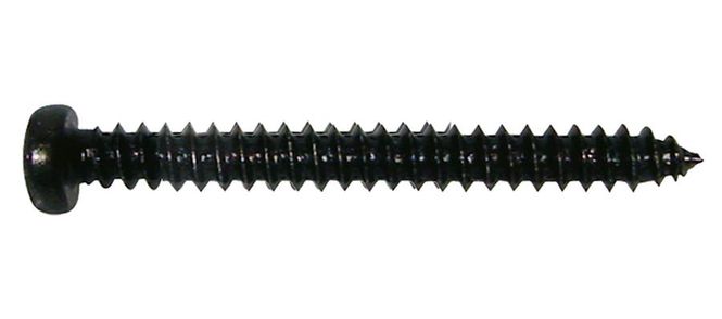 Hovedbilde Boston PS-10-B Pickup Screw 2,6 x 25 mm - Black (12-p)