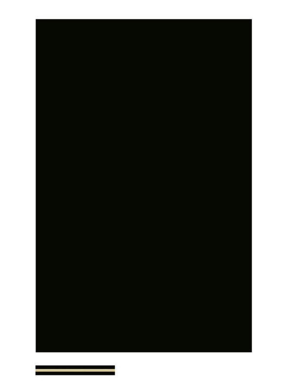 Boston PG-334-BC Pickguard Material 45x29 Black & Cream