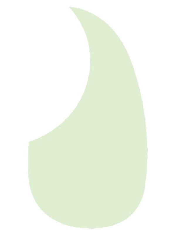 Boston AG-100 Pickguard Mint Green