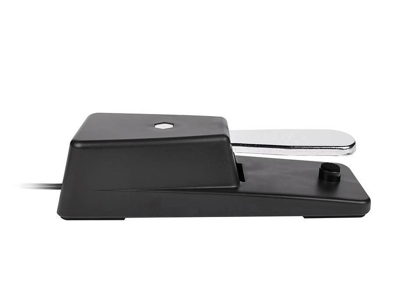 Boston GFS-25 Sustain Pedal