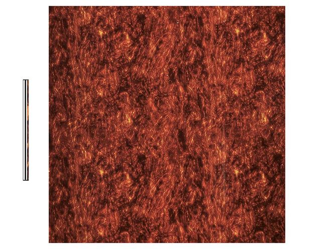 Hovedbilde Boston PG-433-T Pickguard Material 30x29