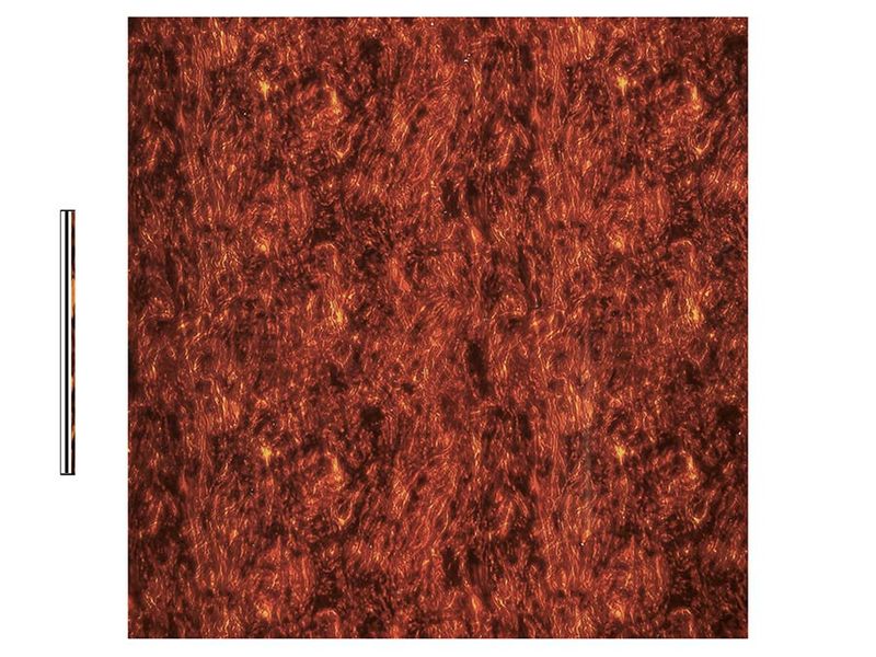 Boston PG-433-T Pickguard Material 30x29