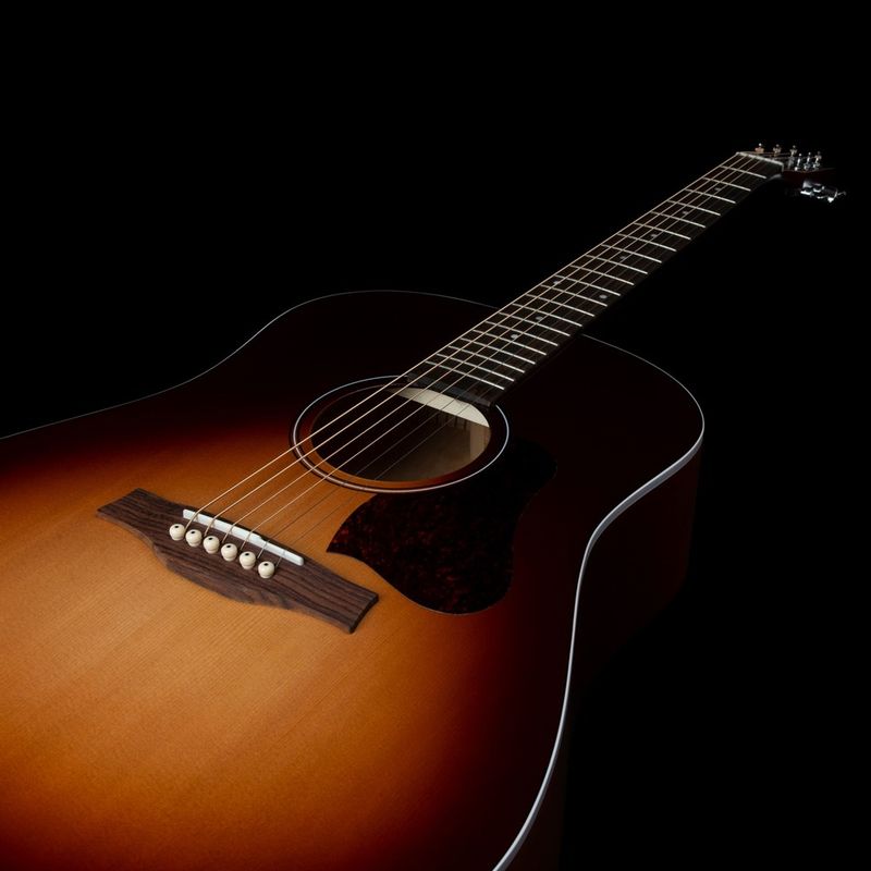Seagull Entourage Autumn Burst Guitar