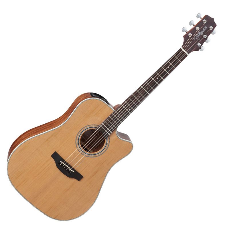 Takamine GD20CE-NS