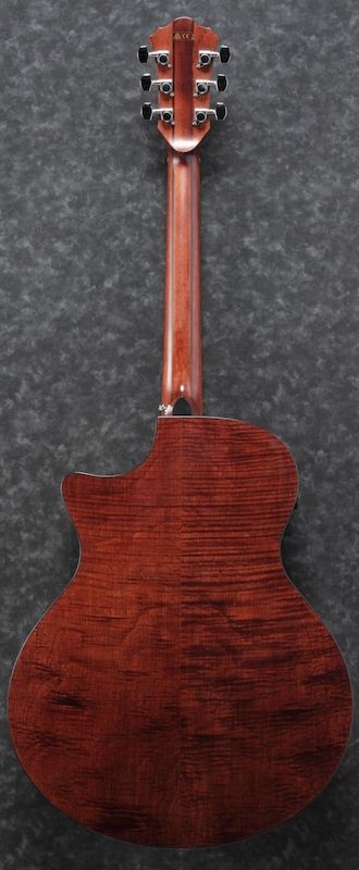 Ibanez AE325-LGS Low Gloss Finish