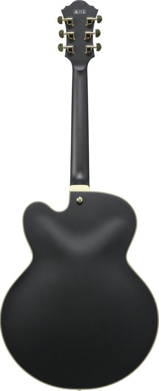 Ibanez AF75G-BKF Black Flat