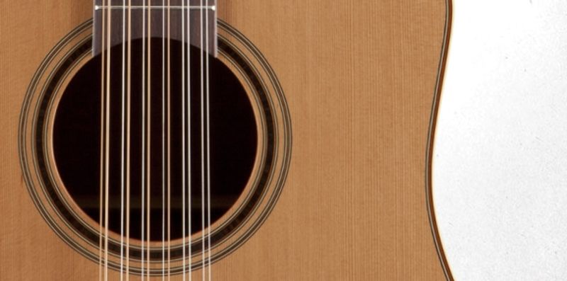 Takamine P3DC-12