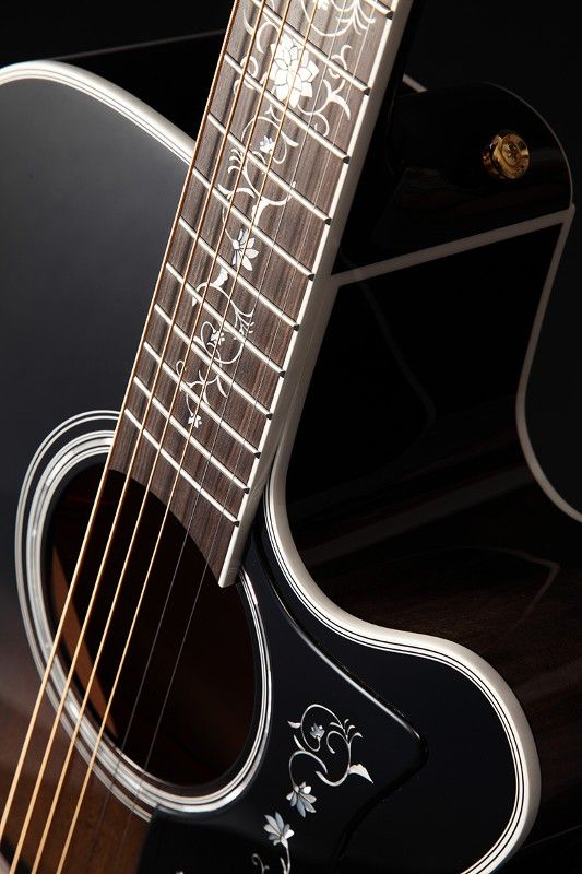 Takamine EF450C-TT-TBB