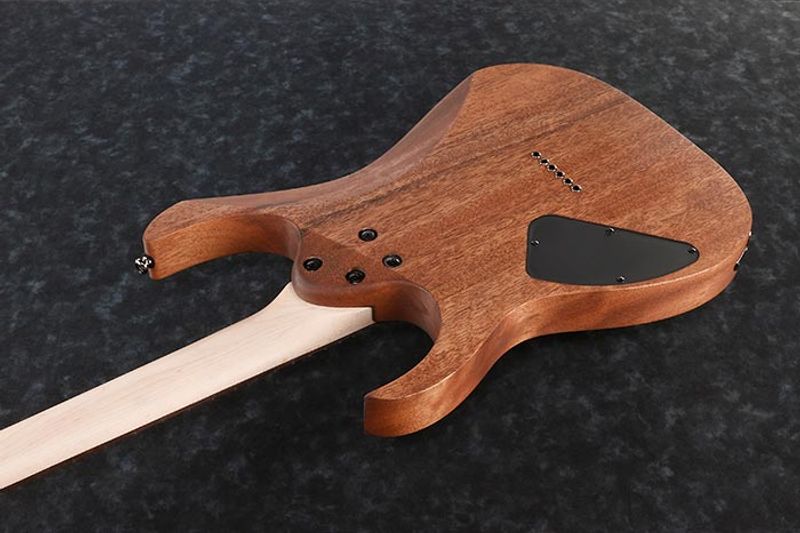 Ibanez RG421-MOL