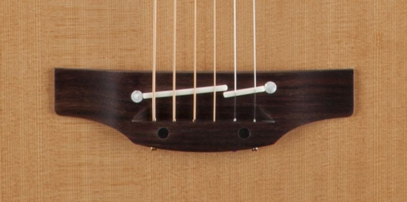 Takamine P3DC